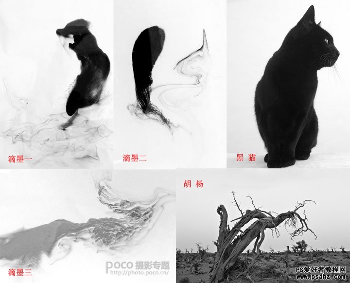 photoshop创意合成中国风水墨画视觉作品教程