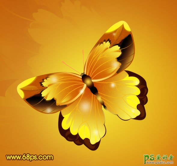 PS实例教程：制作一只漂亮的漂亮的枯叶蝶，枯叶蝶图片素材