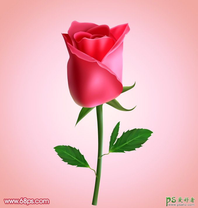 photoshop制作漂亮的红玫瑰，一朵含苞欲放的鲜嫩红玫瑰素材图片