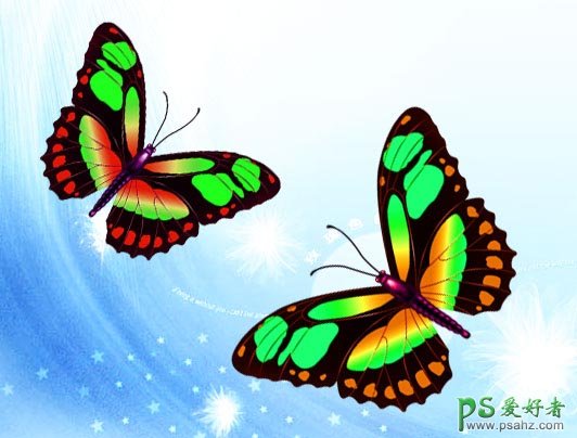 PS鼠绘教程：手绘飞舞着美丽的蝴蝶失量图片素材