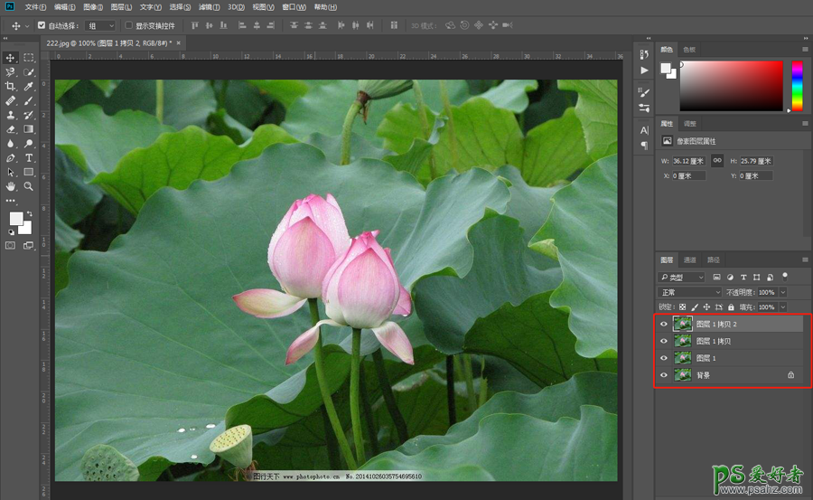 利用photoshop内置滤镜工具创造逼真的水彩风格的荷花图片