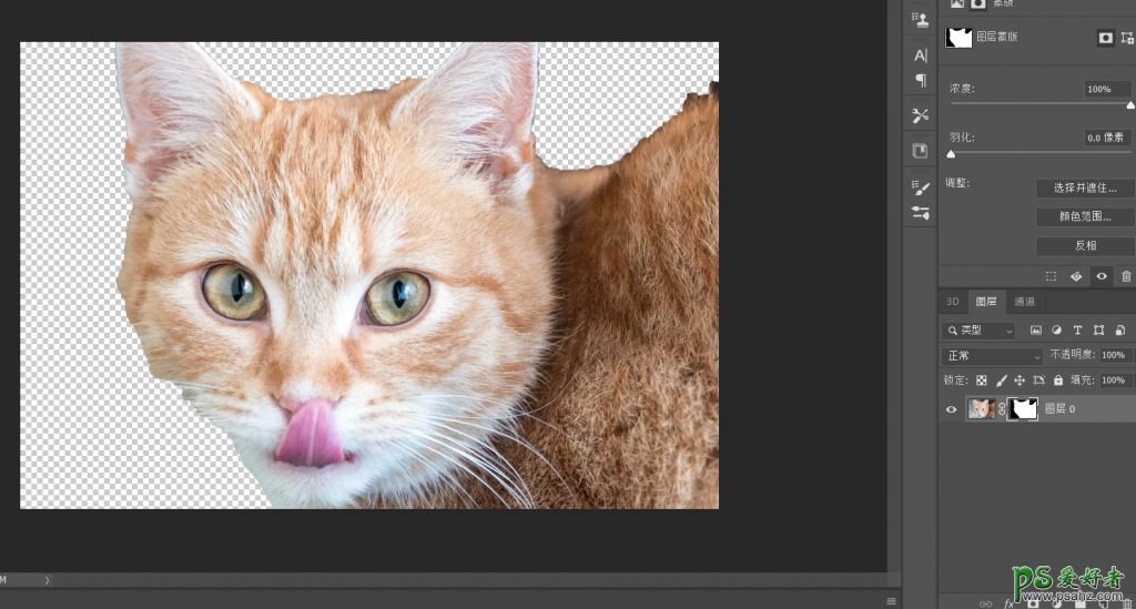 PS动物抠图教程：学习给可爱的小猫图片进行抠图。
