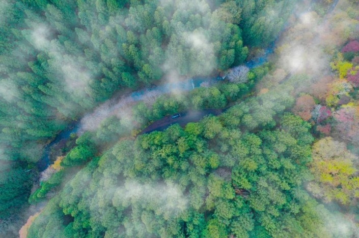 PS烟雾效果怎么做？给大自然森林风景照制作出逼真的烟雾效果。