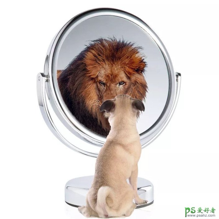 PS创意合成小狗照镜子,原来在小狗的心里自己是草原之王―狮子。