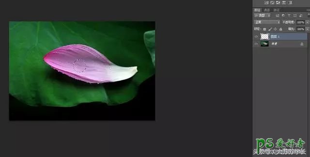 Photoshop绘制荷叶花瓣上逼真的水珠,一颗晶莹剔透的水珠。