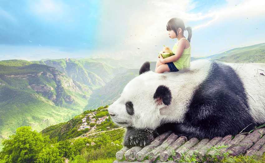 Photoshop创意合成在大自然中小女孩儿与大熊猫亲和的场景