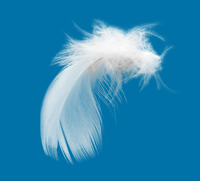 ps抠羽毛教程：用滤色快速抠背景颜色不是很杂乱的羽毛素材图。