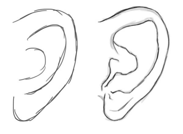 PS鼠绘教程：手绘大师教你绘制逼真的耳朵素材图,画耳朵实例。