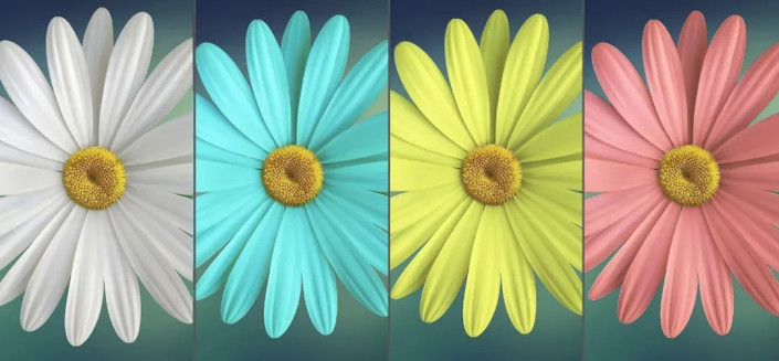 PS图片换颜色教程：给白色的花朵素材图换成五颜六色的效果。