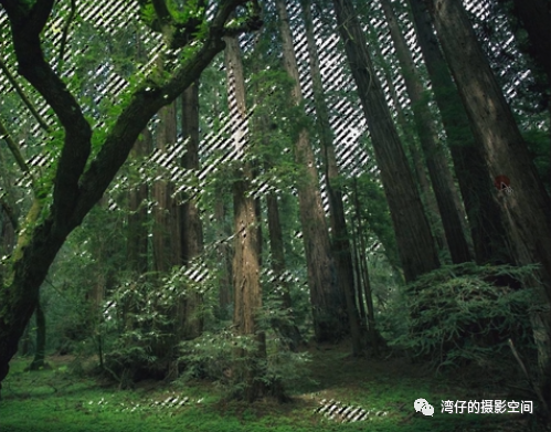 PS照片后期教程：学习给丛林风景图片制作出丁达尔光线效果。